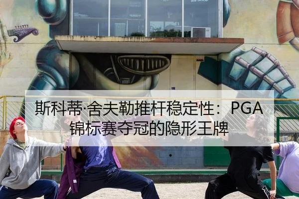 si-ke-di-she-fu-lei-tui-gan-wen-ding-xing-jin-biao-sai-duo-guan-de-yin-xing-wang-pai-1-869.jpg